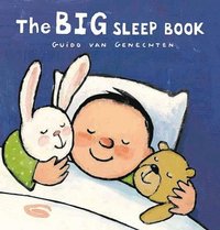 bokomslag The Big Sleep Book