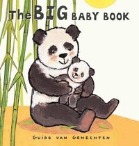 bokomslag The Big Baby Book