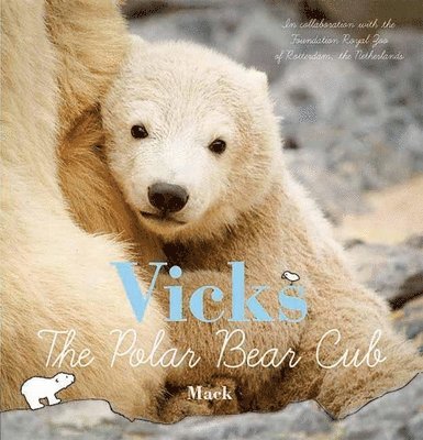 Vicks, the Polar Bear Cub 1