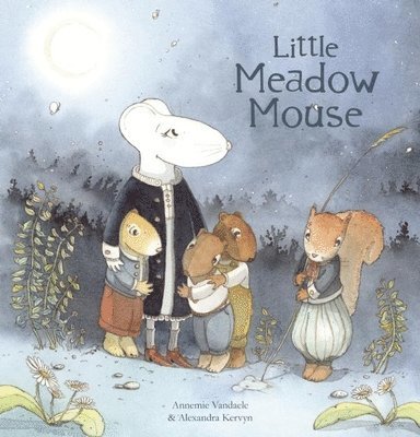 Little Meadow Mouse 1