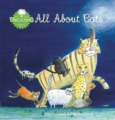 All About Cats 1