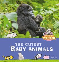 bokomslag Mack's World of Wonder. The Cutest Baby Animals