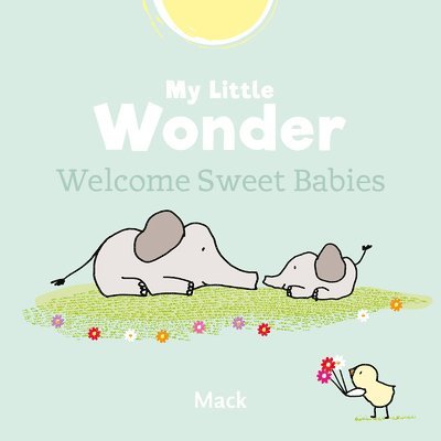 My Little Wonder. Welcome Sweet Baby 1