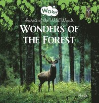 bokomslag Wonders of the Forest. Secrets of the Wild Woods