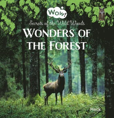 bokomslag Wonders of the Forest. Secrets of the Wild Woods