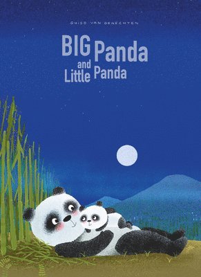 bokomslag Big Panda and Little Panda