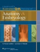 bokomslag Lippincott's Illustrated Q&A Review of Anatomy and Embryology