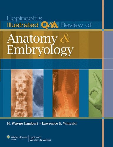 H. Wayne Lambert, Lawrence E. Wineski - Lippincott's Illustrated Q&A Review of Anatomy and Embryology, Häftad