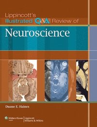 bokomslag Lippincott's Illustrated Q&A Review of Neuroscience