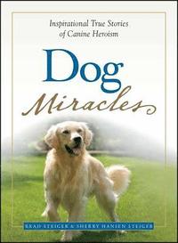 bokomslag Dog Miracles