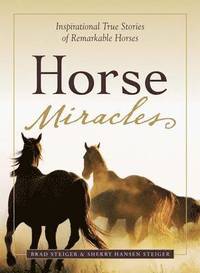 bokomslag Horse Miracles