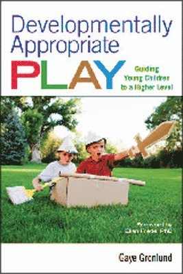 bokomslag Developmentally Appropriate Play