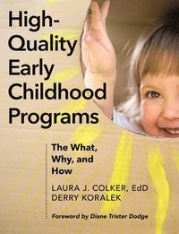 bokomslag High-Quality Early Childhood Programs