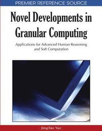 bokomslag Novel Developments in Granular Computing
