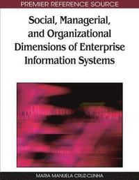 bokomslag Social, Managerial, and Organizational Dimensions of Enterprise Information Systems