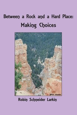 Between a Rock and a Hard Place: Making Choices 1