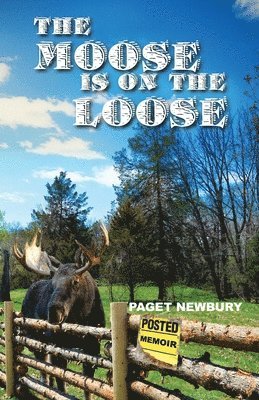 The Moose Is On The Loose 1