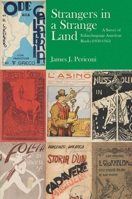 James J. Periconi - Strangers in a Strange Land, Inbunden