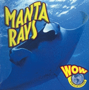Manta Rays