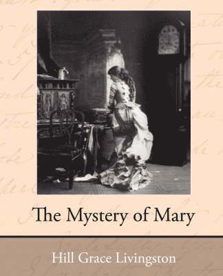 bokomslag The Mystery of Mary