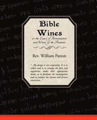 bokomslag Bible Wines or the Laws of Fermentation and Wines of the Ancients