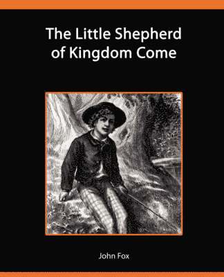 bokomslag The Little Shepherd of Kingdom Come