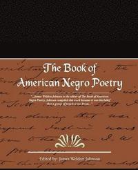 bokomslag The Book of American Negro Poetry