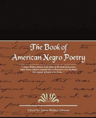 bokomslag The Book of American Negro Poetry