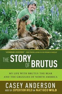 bokomslag The Story of Brutus