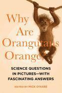 bokomslag Why Are Orangutans Orange? - Science Questions In Pictures--With Fascinating Answers