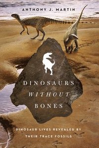 bokomslag Dinosaurs Without Bones