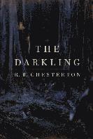 bokomslag The Darkling