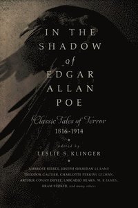 bokomslag In the Shadow of Edgar Allan Poe