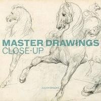 bokomslag Master Drawings Close-Up