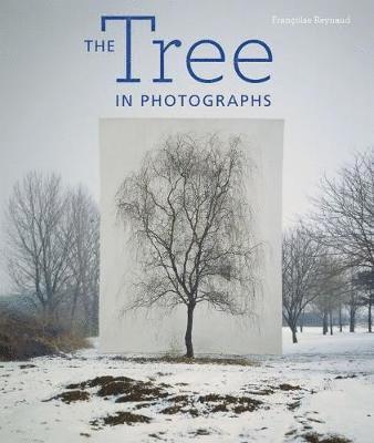 The Tree in Photographs 1