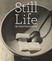 Still Life in Photographs 1