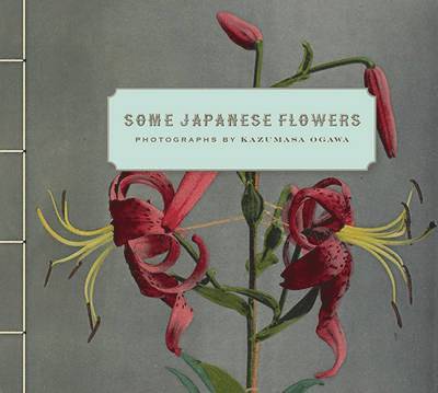 Some Japanese Flowers  Photographs by Kazumasa Ogawa 1