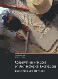 bokomslag Conservation Practices on Archaeological Excavations  Priciples and Methods