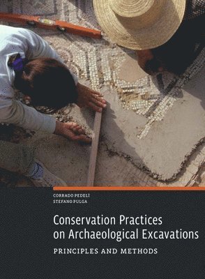 bokomslag Conservation Practices on Archaeological Excavations - Priciples and Methods
