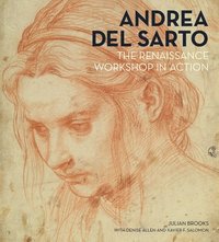 bokomslag Andrea del Sarto