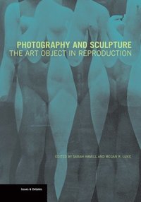 bokomslag Photography and Sculpture - The Art Object in Reproduction