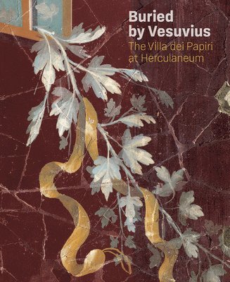 bokomslag Buried by Vesuvius - The Villa dei Papiri at Herculaneum