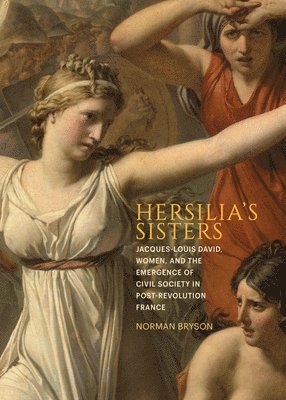 Norman Bryson - Hersilia's Sisters, Inbunden