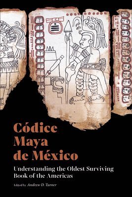 bokomslag Codice Maya de Mexico