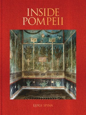 bokomslag Inside Pompeii