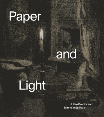 Julian Brooks, Michelle Sullivan - Paper and Light, Häftad
