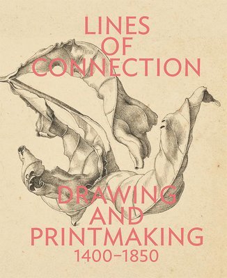 Edina Adam, Jamie Gabbarelli - Lines of Connection, Häftad