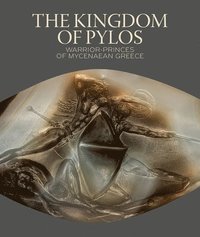bokomslag Kingdom of Pylos