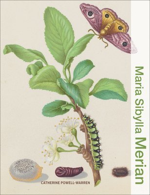 Catherine Powell-Warren - Maria Sibylla Merian, Inbunden