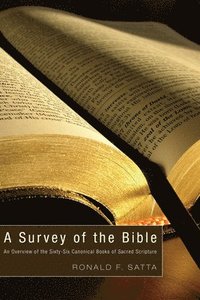 bokomslag A Survey of the Bible